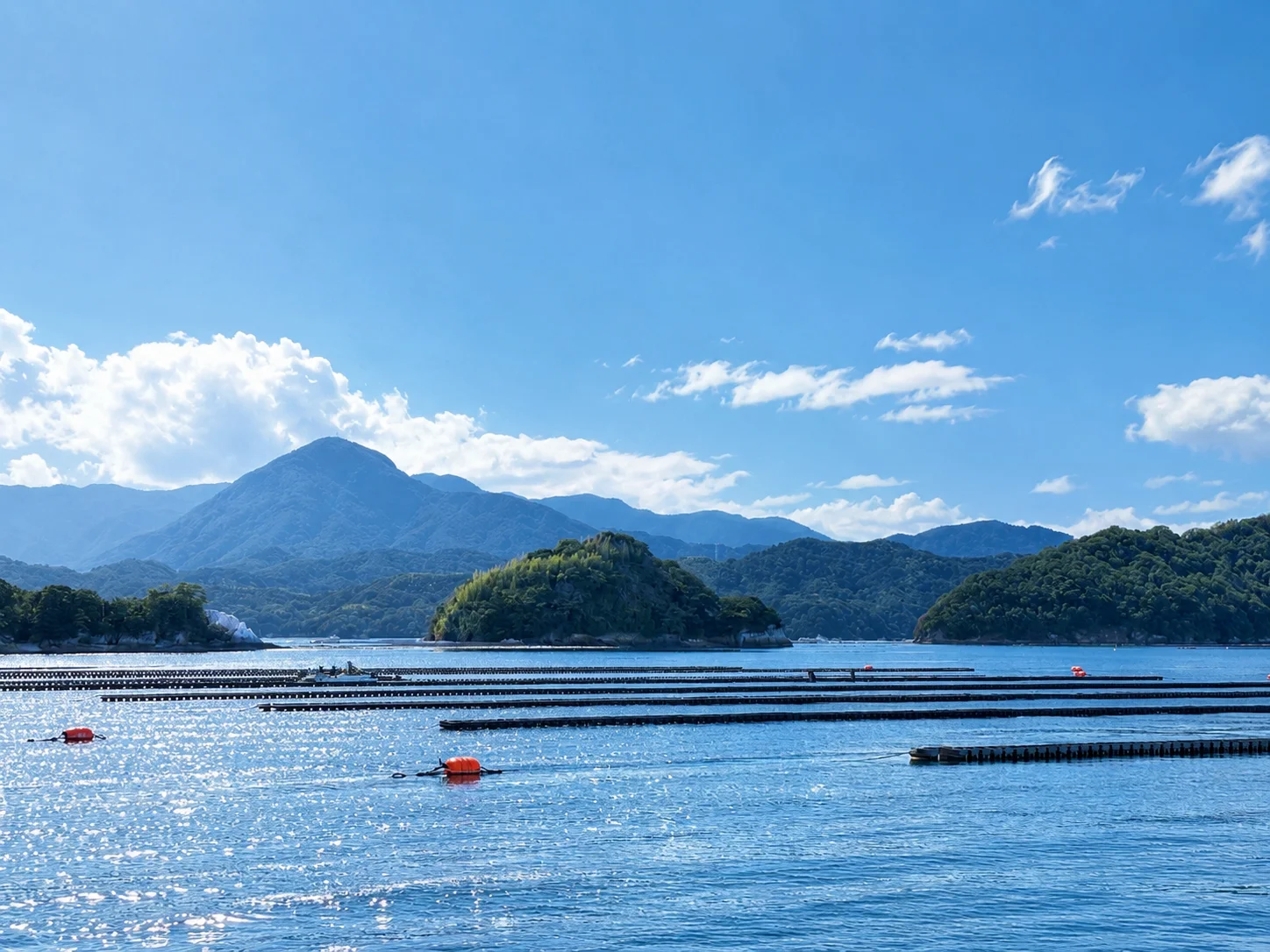 周防大島の海と牡蠣養殖の漁場